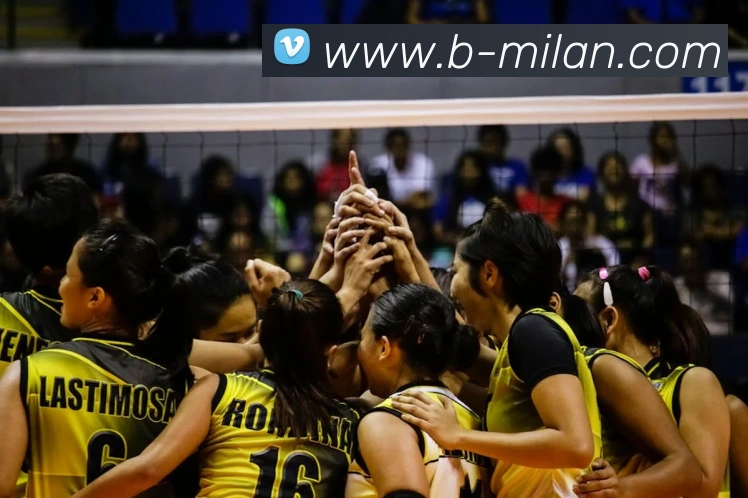 米兰体育服务体系